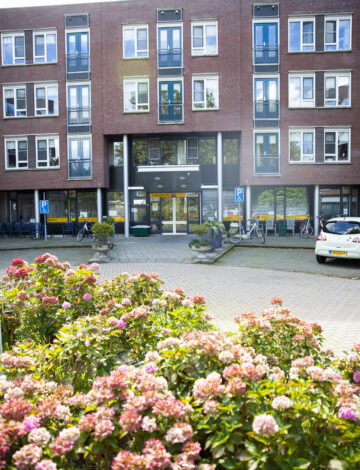 Waterland